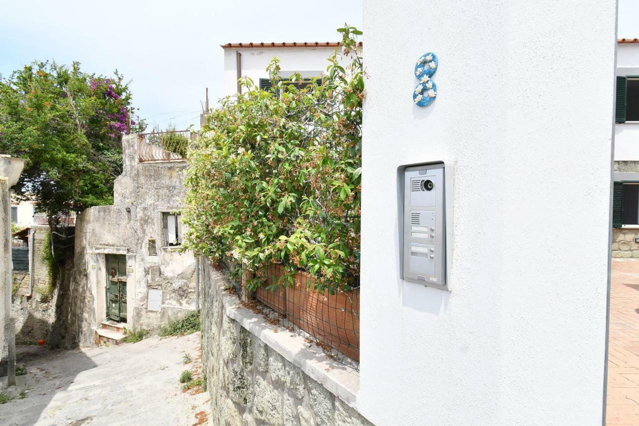 Casa Partenope Villa Forio di Ischia Exterior foto